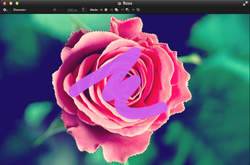 download paint net for mac